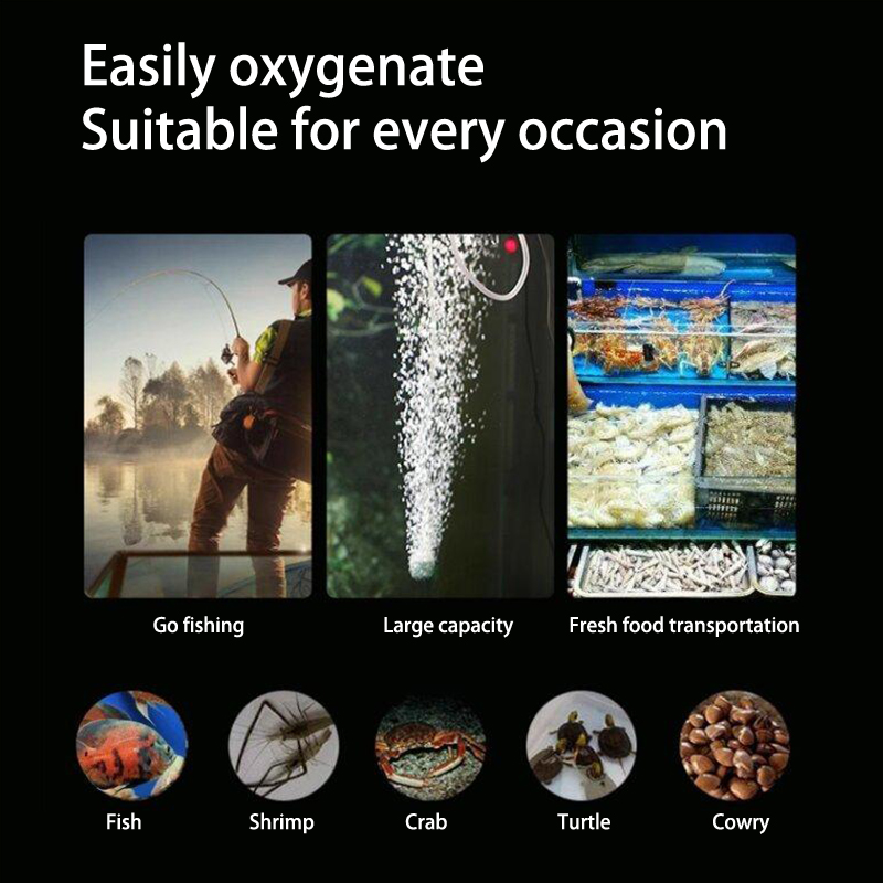 طقم مضخة هواء حوض السمك الصغير - مراجعة Fishing Equipment For Beginners وسعره
