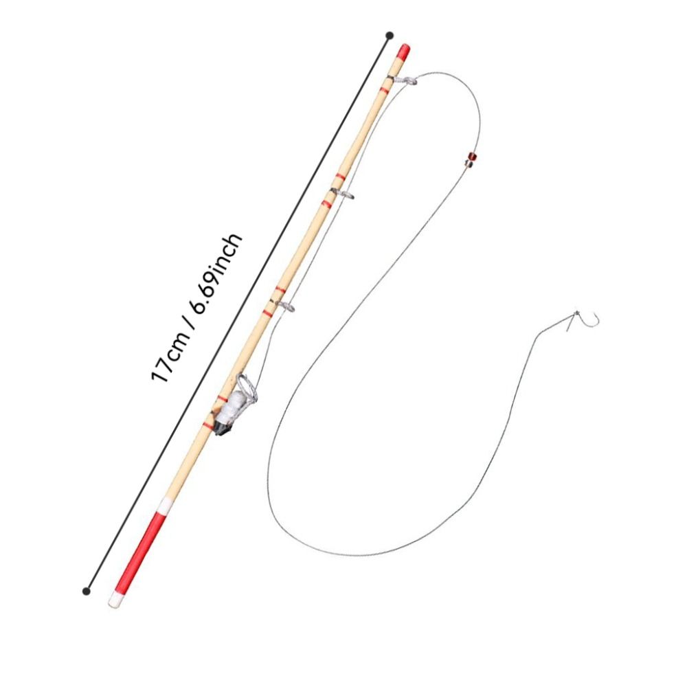 العصرية المشهد الصغير 17.5 سنت - مراجعة Fishing Equipment For Kids وسعره